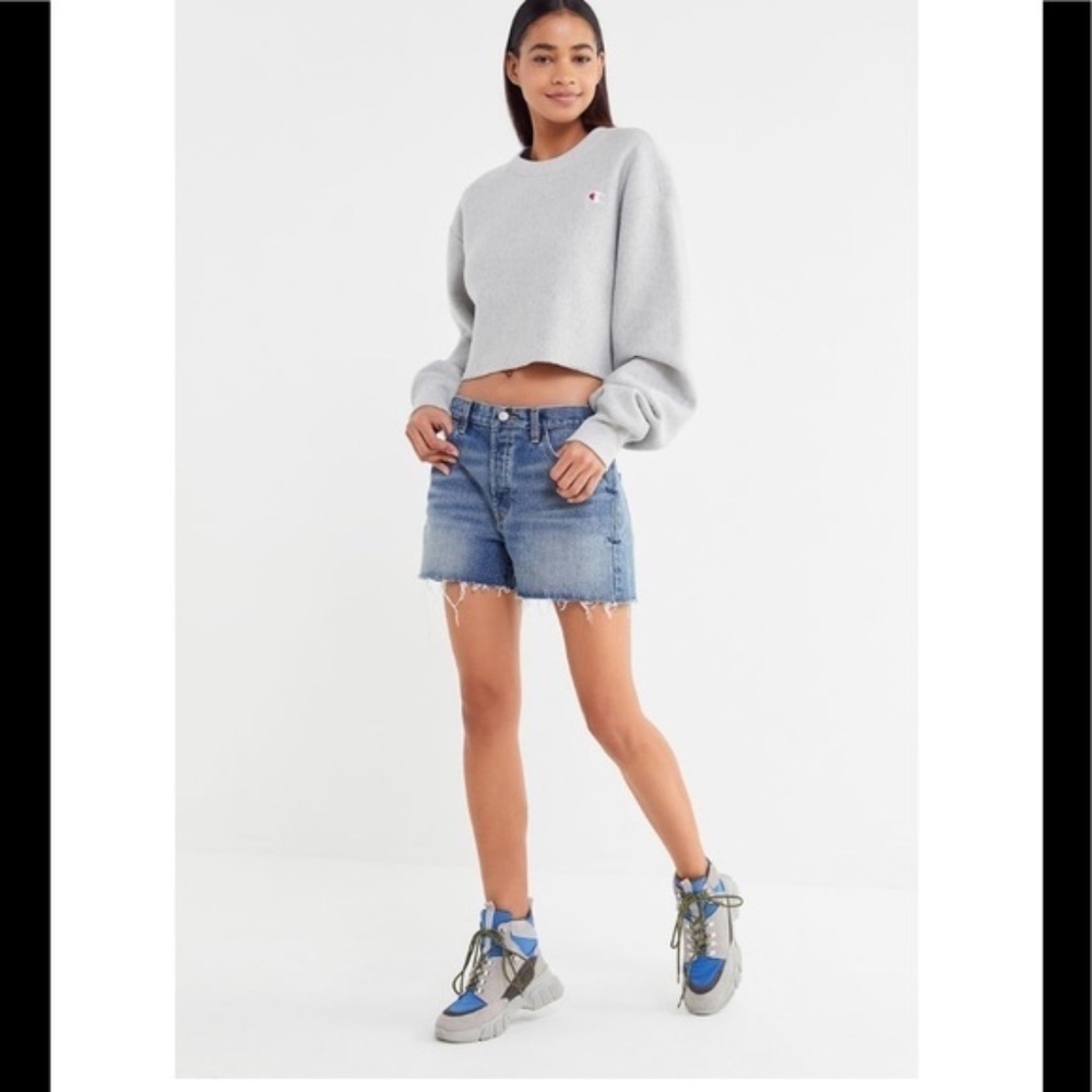 NWT BDG Urban Outfitters Embroidered Low Rise Boyfriend Shorts Size 24 - Picture 7 of 16